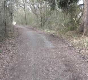 Rundwanderung durch den Rauhen Rammert Hemmendorf