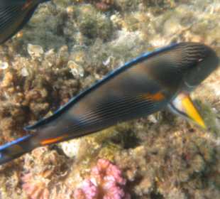 10 m od brzegu-jest co oglądać