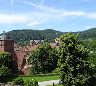 Schloss Heidelberg und Park