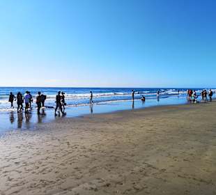 Strand Playa del Ingles