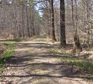 Waldkulturerbe Neuweiler Viehweide