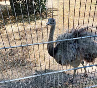 Wildgehege Rabensleite