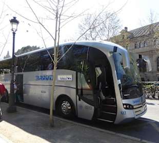 Unsere Reise Bus (BRAVO) 