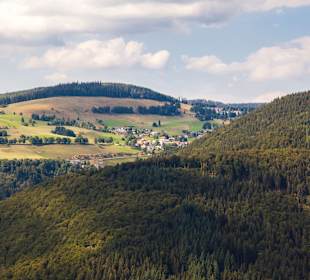 Ausblick