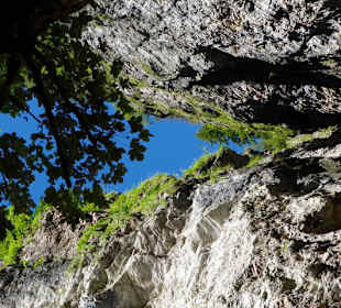 Hohe Felswände