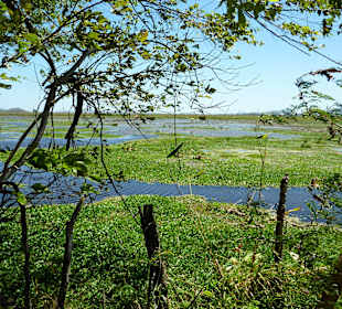 Traumhafte Landschaften