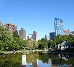 Frog Pond, Hintergrund Skyline von Boston