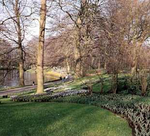 Blumenpracht im Keukenhof / Holland