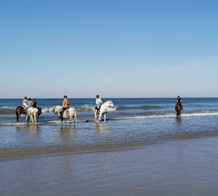 Reitstall Finca el Anfora Conil