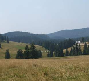 Parcul Natural Apuseni 