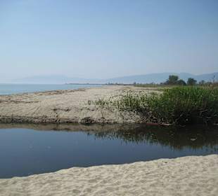 Strand Olympic Beach/Olympiaki Akti