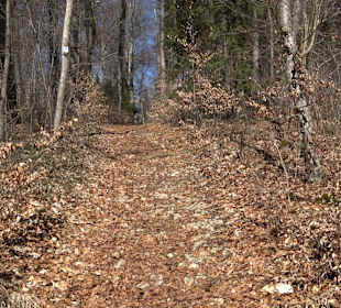 Klosterfelsenweg