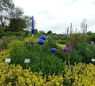 Schaugarten von Syringa