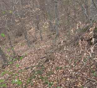 Wanderung rund um das Rusenschloss Gerhausen