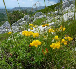 Preserved nature on the Velebit