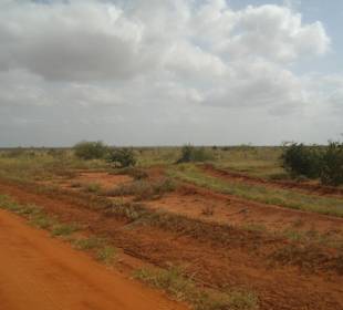 Tsavo Ost