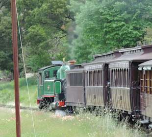Mit der Puffing Billy Dampfbahn unterwegs