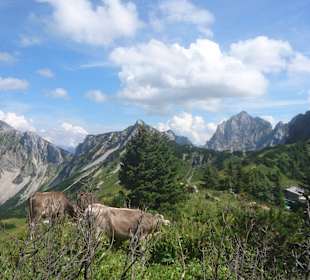 Wandern Nesselwängle