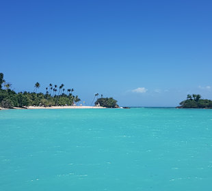 Ausflug los Haitises zur Bacardi Insel