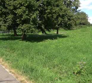 Hochgehnießen - Premiumspazierwanderweg