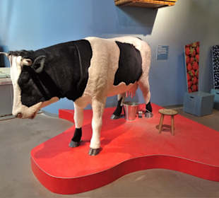 Mitmach-Station "Melken" im Freilichtmuseum