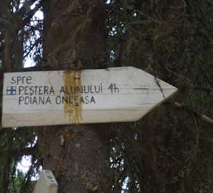 Peștera de la Alun