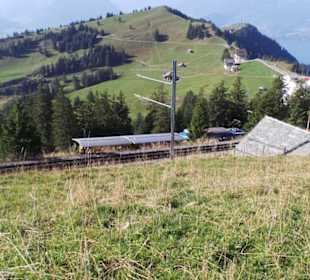 Ausblick