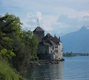Widok zamku z Alpami