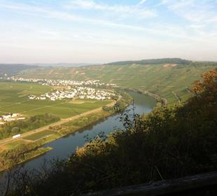 Mosel bei Beilstein