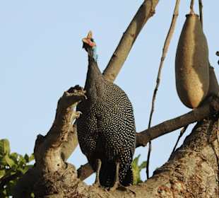 Hier bin ich in Sicherheit