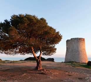 Wachturm von Cala Pi