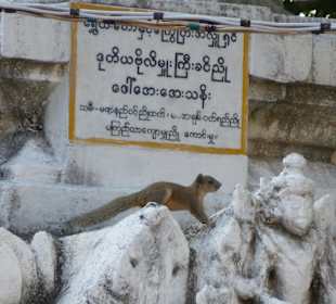 Kuthodaw Pagode