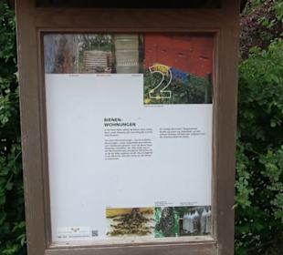 Naturinfopfad Weggental