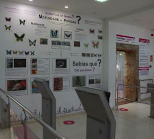 Mariposario de Benalmàdena