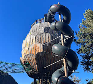 Zirbenpark Hochzeiger