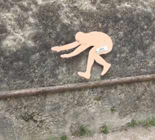 Eurasienbereich - Sprünge der Tiere