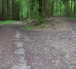 Wandertour Feuchtgebiet Schönbuch