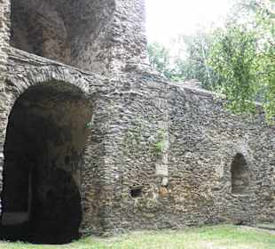 Svojšice zřícenina