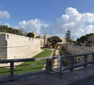 MDINA 2014  