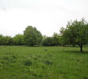 Park