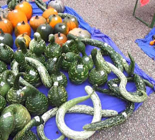 Naturparkzentrum Ruhestein