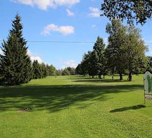 Hügeliges Gelände mit Bäumen