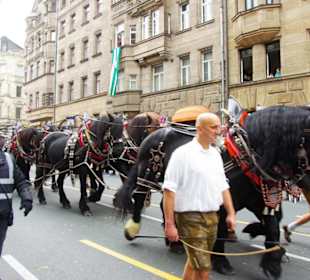 8-Spanner der größte Wagen