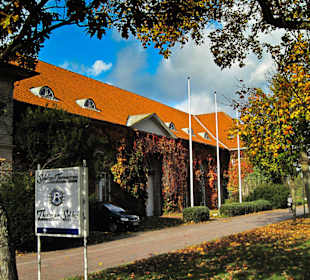 Парк Замка Ойтин.Золотая осень.