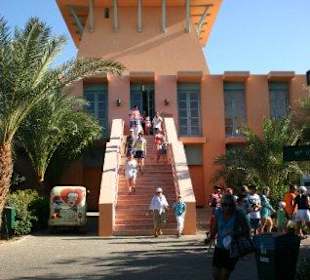 Dacia El Gouna Sea Trip