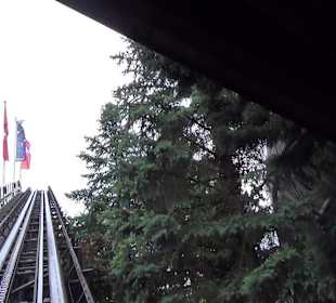 Themenbereich Schweiz