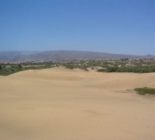 Dünen in Maspalomas bei Meloneras