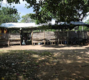 Mitten im Busch steht die Kirche