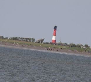 Pellworm Leuchtturm