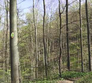 Wanderweg Hochgehkämpft